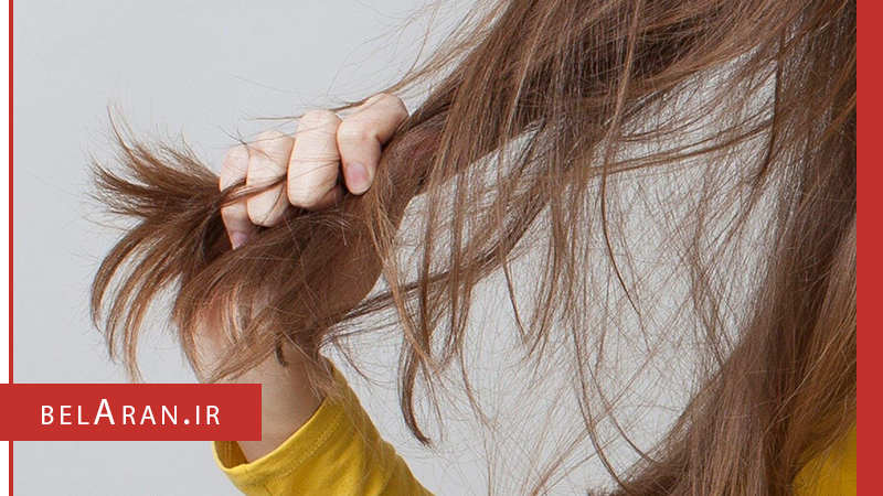 جلوگیری از خشکی مو با روش های طبیعی - بلاران